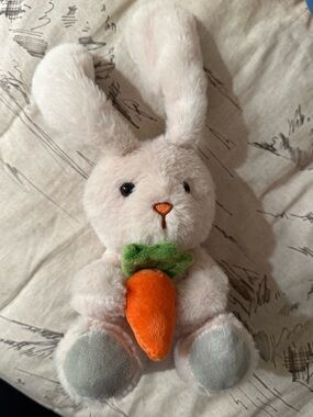Bunny Stuffed Animal